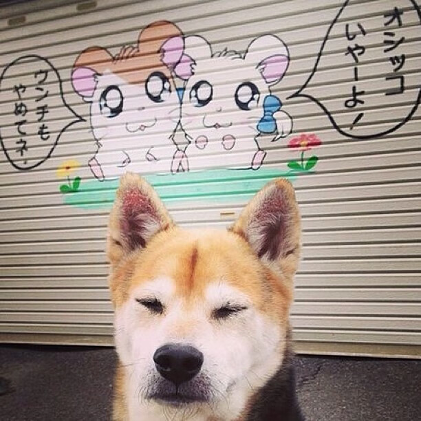 开云体育登录-太阳关键战突围篮网，约基奇赛后评分拉满