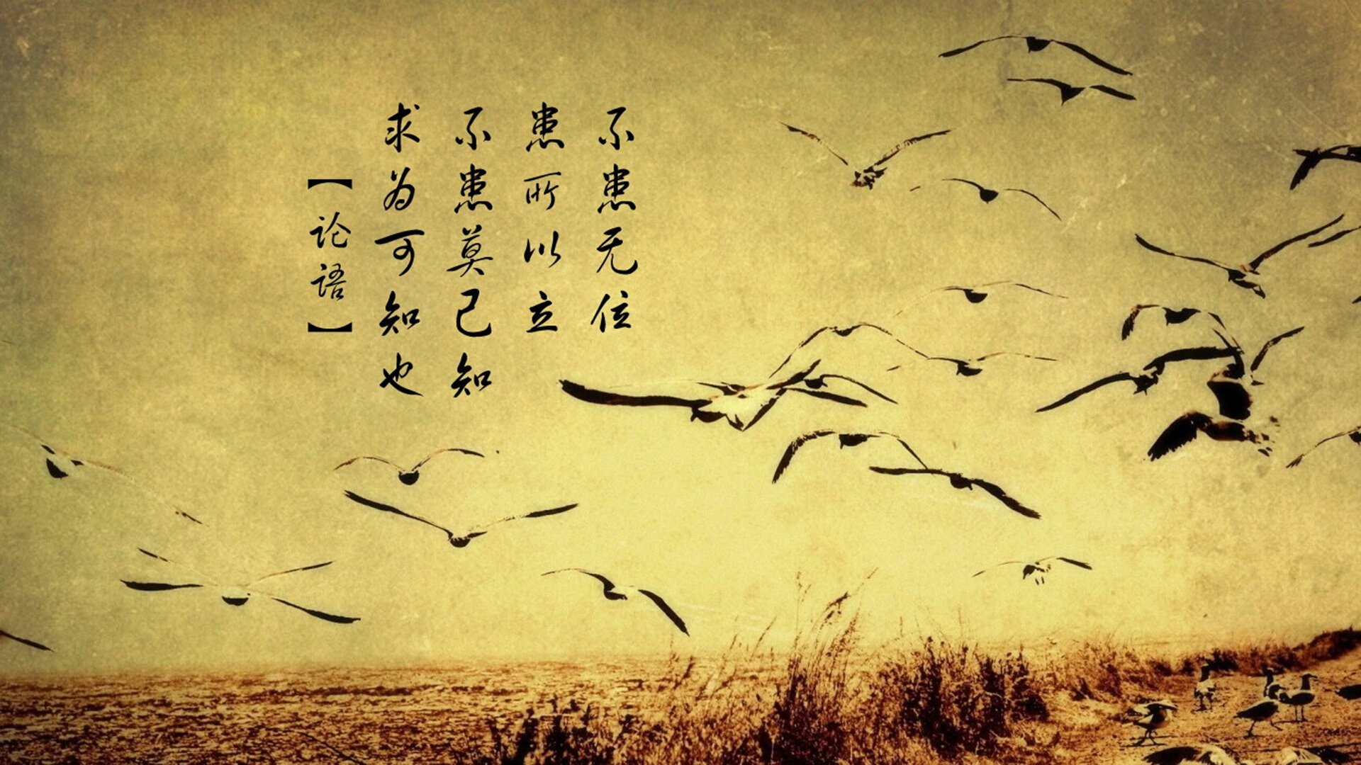 东契奇运筹帷幄，火箭奇兵制胜，一场掌控与突围的争冠启示