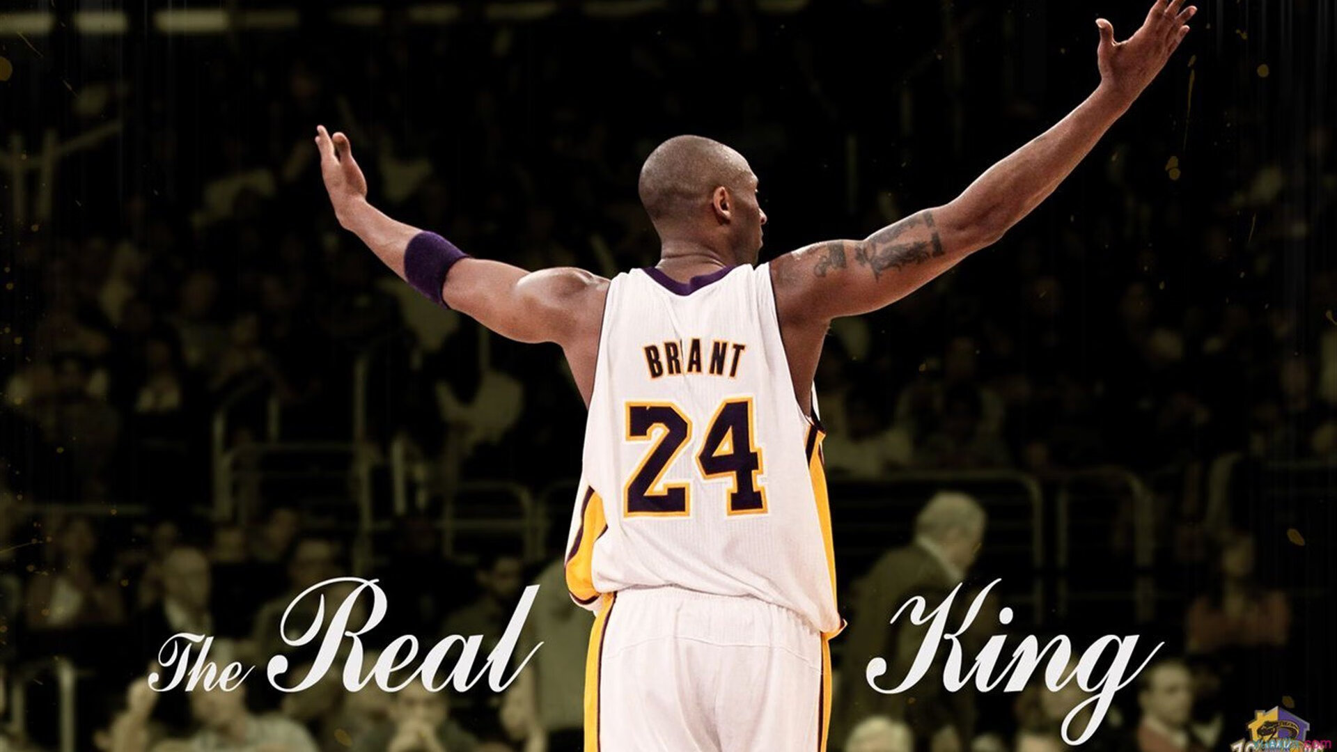 开云体育入口-雄鹿踏平凯尔特人，克莱大场面先生再显神威